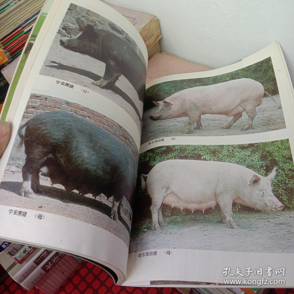 黑龙江省家畜家禽品种志