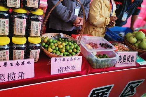 好心茂名乡村游，巾帼助农展风采 二师兄农产品引领春日消费新风尚