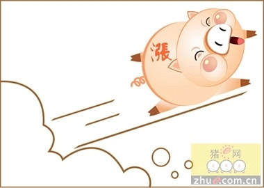 猪肉价格持续攀升 三大出人意料的深层原因解析