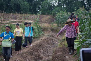 精准定位，打造农村电商特色——九职易购师生赴平沙岛考察“二师兄”农产品基地