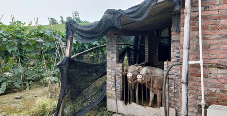 精准定位，打造农村电商特色——九职易购师生赴平沙岛考察农产品基地实地