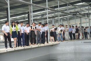 市农委召开2016年上半年全市农业总结会，二师兄农产品成焦点